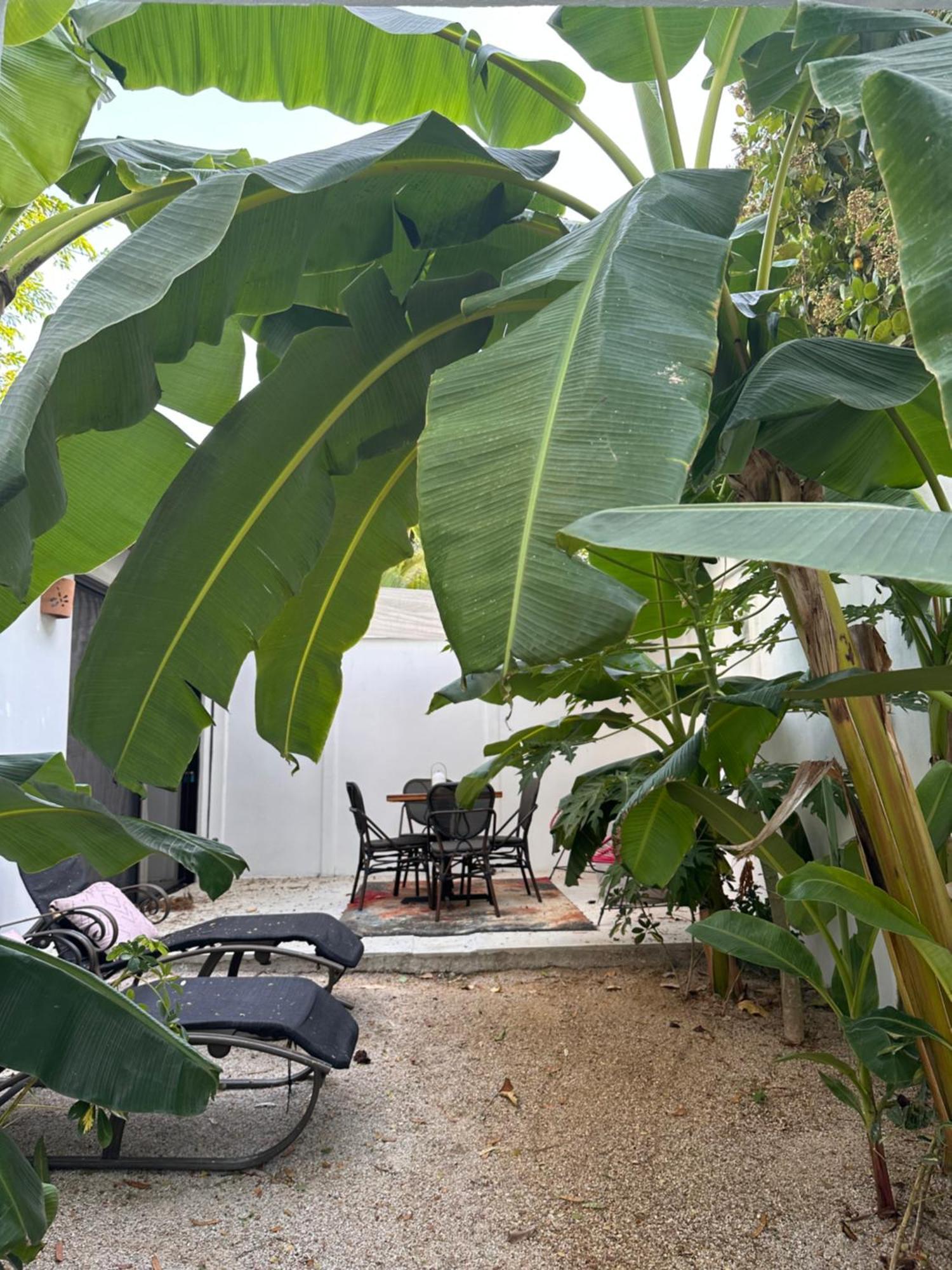 Curiol Boutique Hotel & Lounge Potrero (Guanacaste) Exterior foto