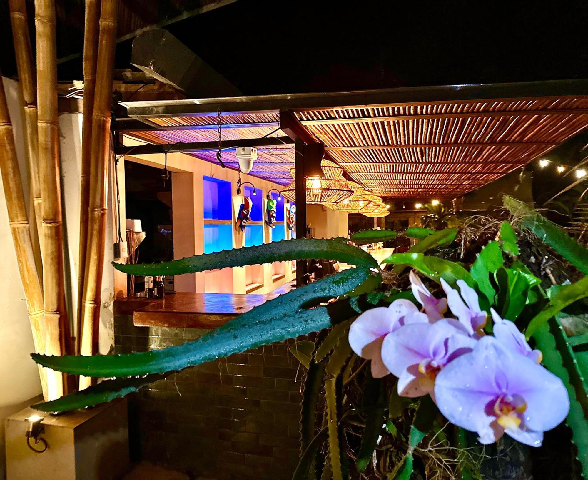Curiol Boutique Hotel & Lounge Potrero (Guanacaste) Exterior foto